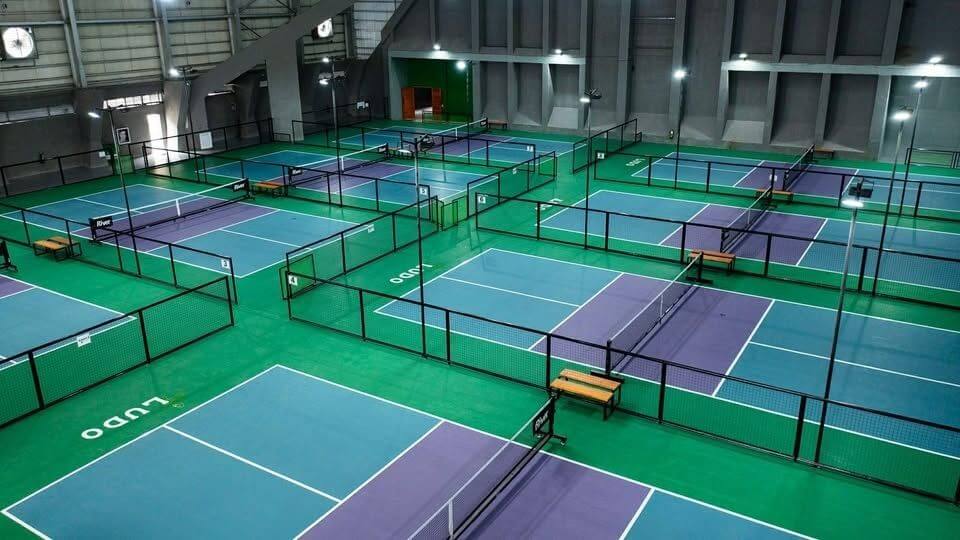 Net and Paddle venue photo